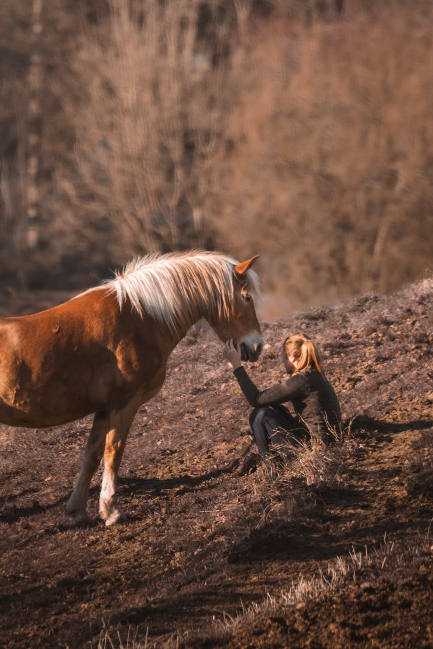 serene moment between woman and horse